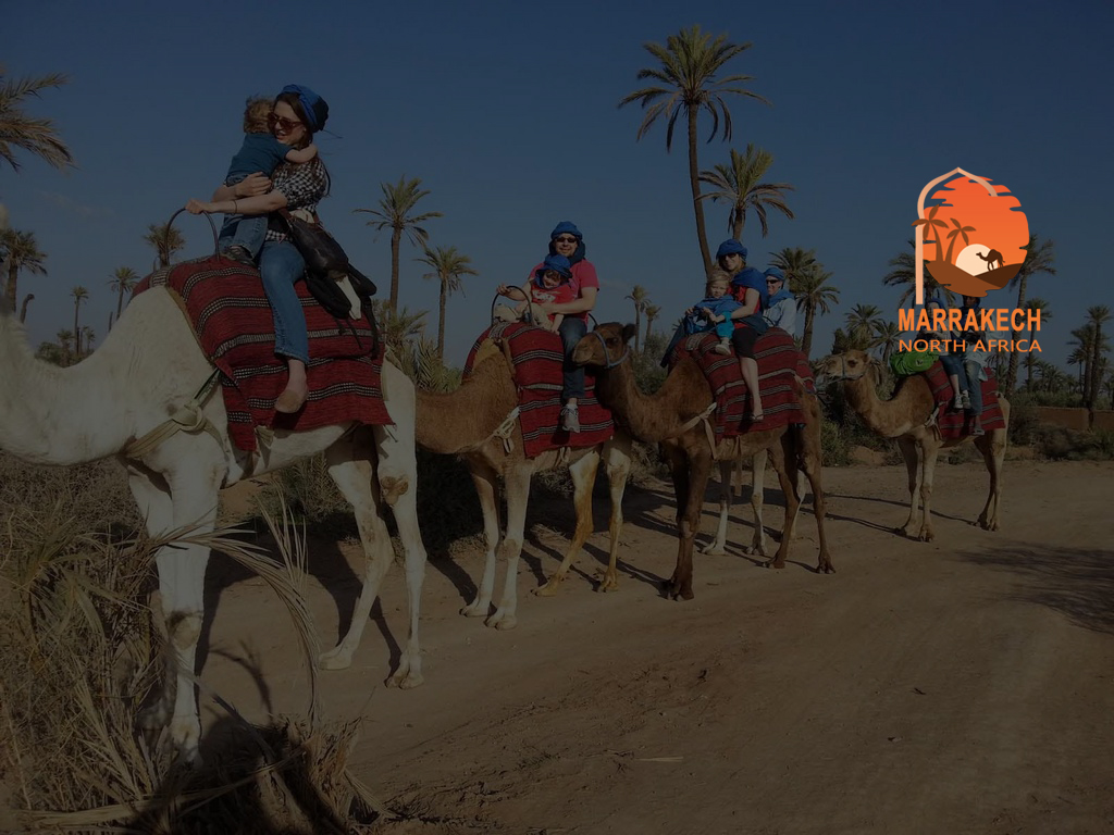 Camel Ride in The Oasis Palmerie Marrakech